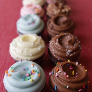 Classic_Chocolate_Cupcake_Sampler_-_Dozen__12753.1297776494.1280.1280